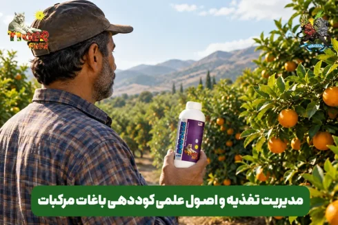 توضیحات اجمالی در مورد کوددهی و تغذیه باغات و درختان مرکبات